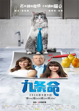婷婷av电影