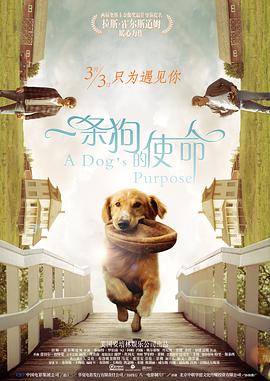 欧美韩国精品另类综合