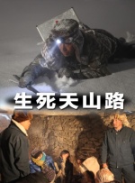 捷克街头100集完整在线播放
