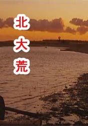 一区二区三区在线观看视频