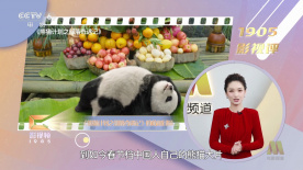 成年男女拍拍拍免费视频